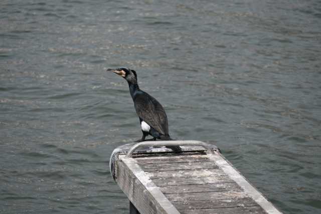 DSC_3497.JPG