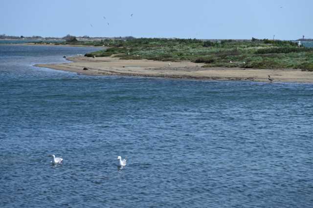 DSC_3599.JPG