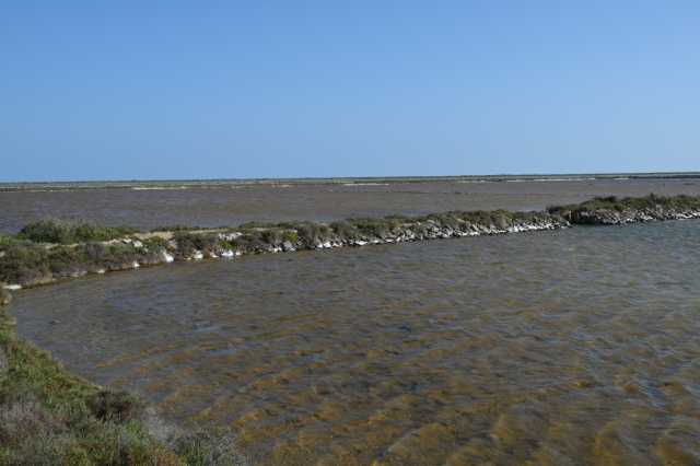 DSC_3609.JPG