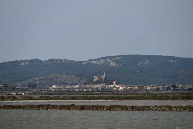DSC_3610.JPG