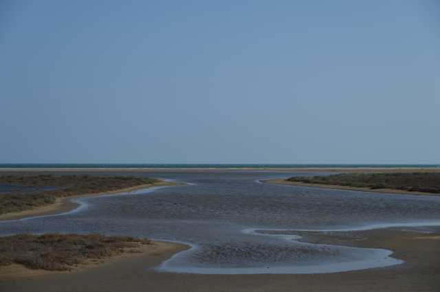 DSC_3612.JPG