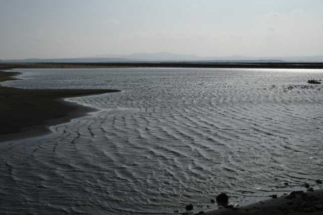 DSC_3619.JPG