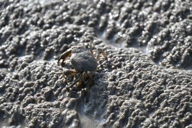 DSC_3635.JPG