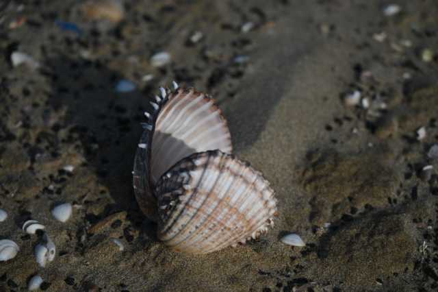DSC_3642.JPG