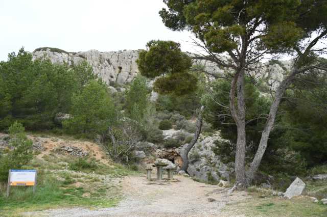 DSC_3651.JPG