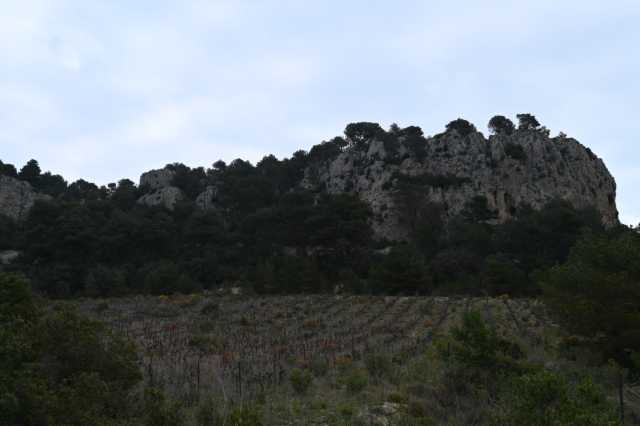DSC_3660.JPG