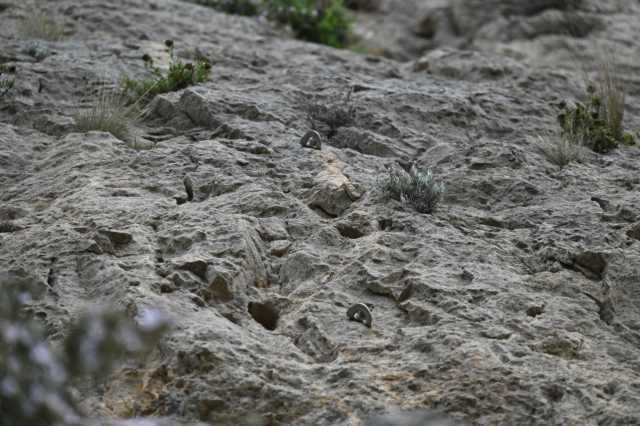 DSC_3666.JPG