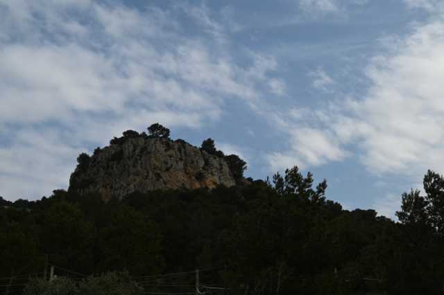 DSC_3678.JPG