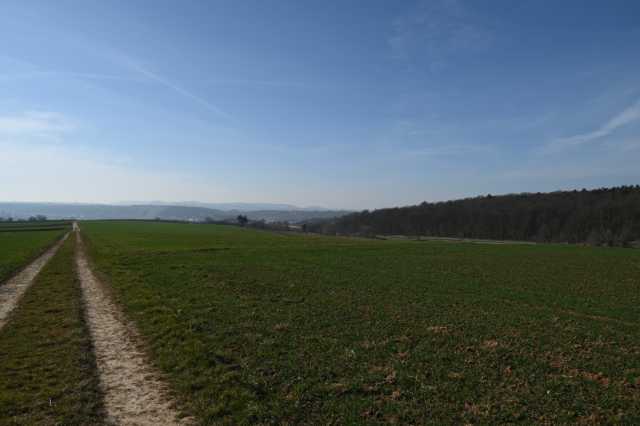 DSC_3465.JPG