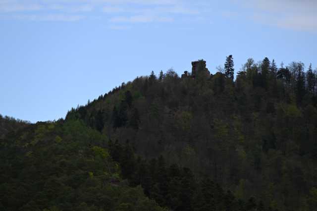 DSC_3873.JPG