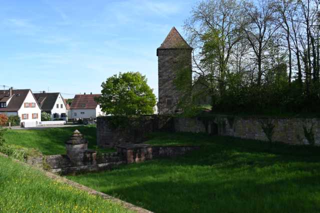 DSC_3979.JPG