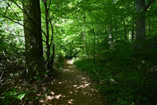 DSC_3989.JPG