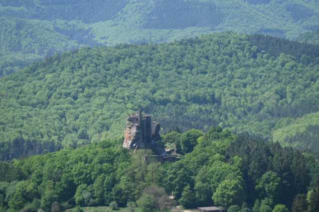DSC_4005.JPG