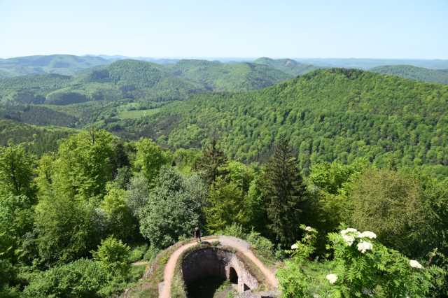 DSC_4036.JPG