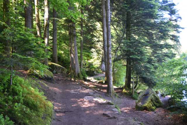 DSC_5335.JPG