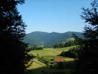 DSCN9785.JPG