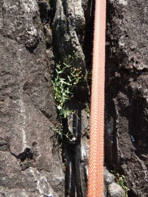 DSCN9705.JPG