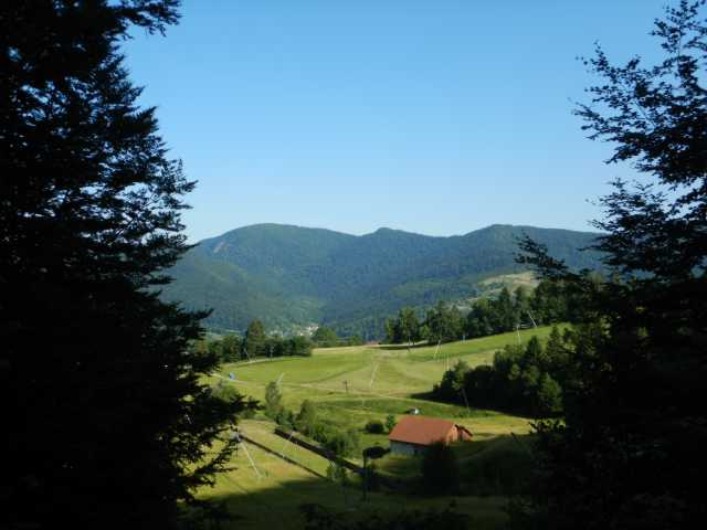 DSCN9785.JPG