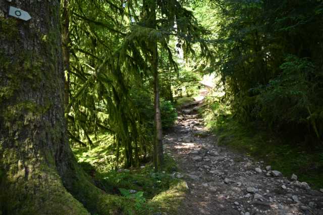 DSC_4194.JPG