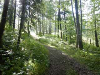 DSCN0012.JPG