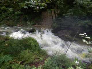 DSCN0037.JPG