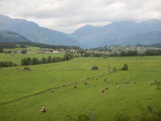 DSCN0238.JPG