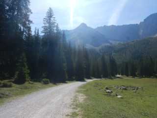 DSCN0502.JPG