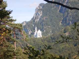 DSCN0534.JPG