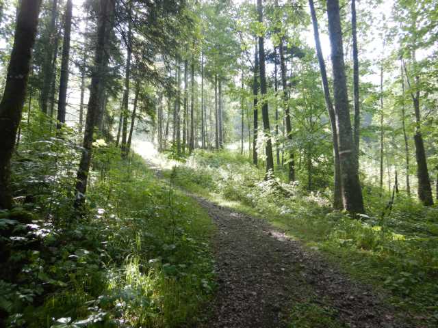 DSCN0012.JPG