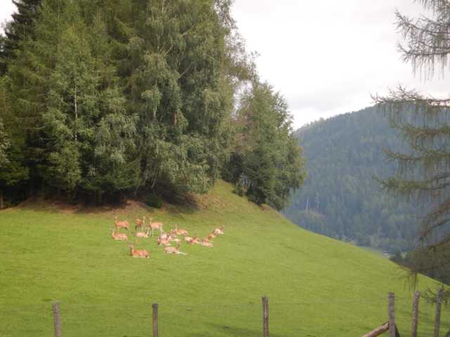 DSCN0126.JPG