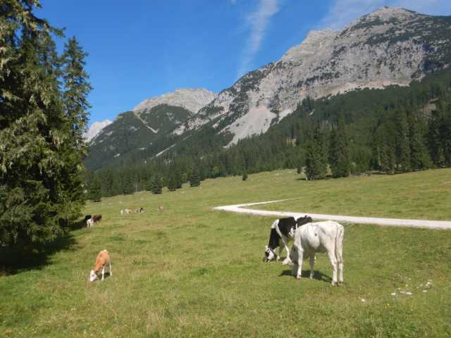 DSCN0491.JPG