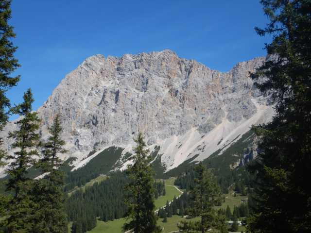 DSCN0503.JPG