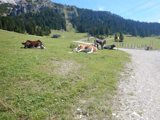 DSCN0509.JPG