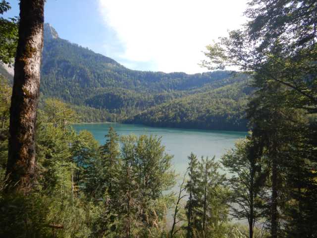 DSCN0524.JPG
