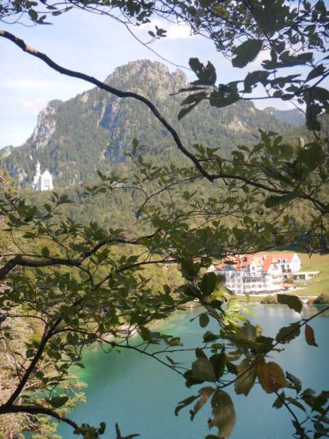 DSCN0535.JPG