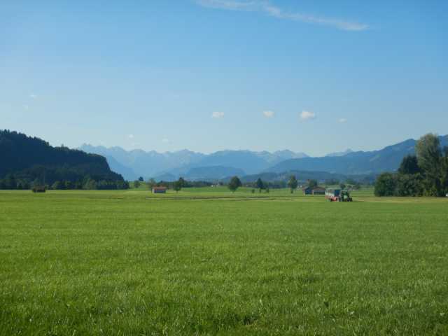 DSCN0565.JPG