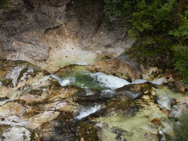 DSCN9942.JPG
