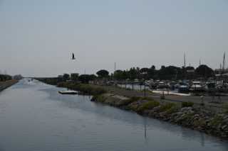 DSC_4428.JPG