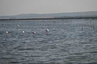DSC_4558.JPG
