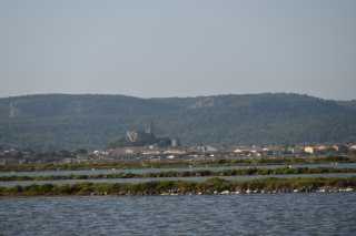 DSC_4566.JPG
