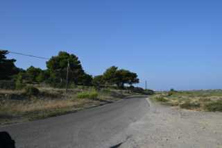 DSC_4567.JPG