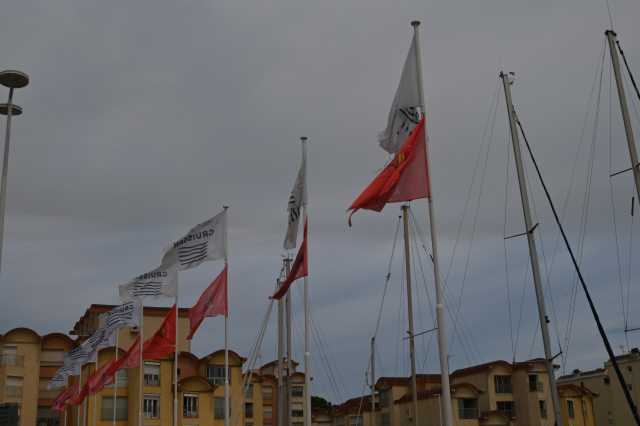DSC_4290.JPG