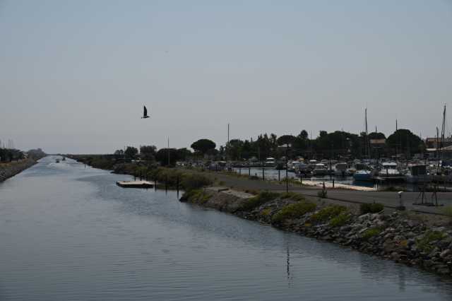 DSC_4428.JPG