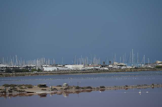 DSC_4445.JPG