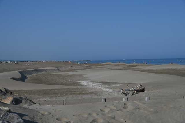 DSC_4516.JPG