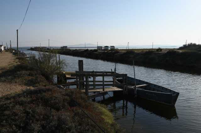 DSC_4595.JPG