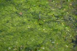 DSC_5687.JPG