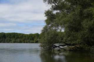 DSC_5718.JPG
