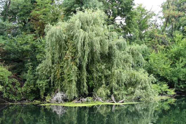 DSC_5527.JPG