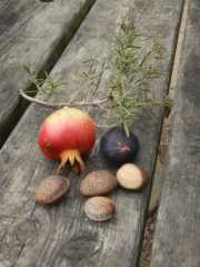 DSCN0670.JPG